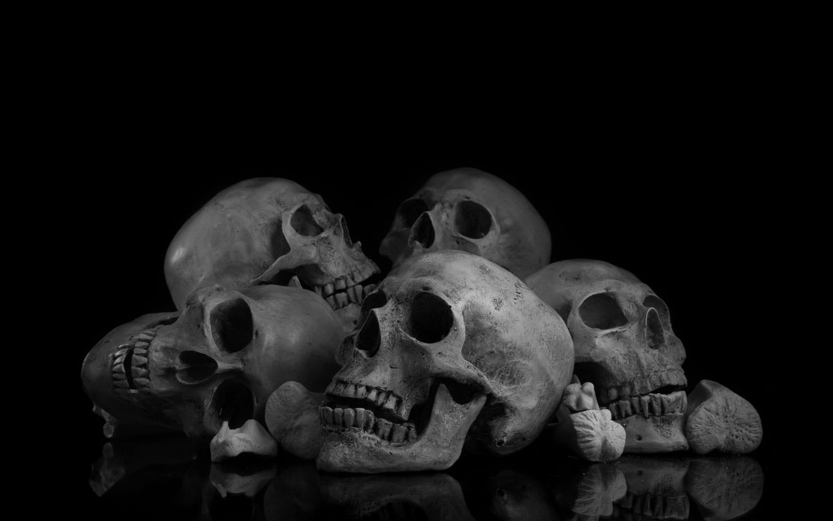 Five human skull with glossy reflection black and white tone.